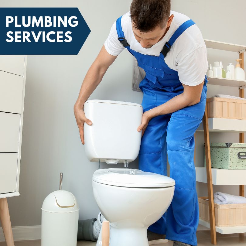 Plumbing Company in Taylor Ridge, IL